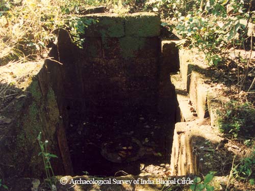 An old temple of Piparwara forest village 