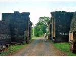 Bhagwania Gate 3