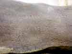 Rock edict of Ashoka, Rupnath 2 