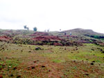 Excavated site  1