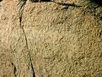 Rock inscription of Asoka 1