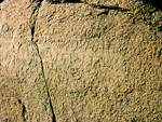 Rock inscription of Asoka Monument Gallery 2